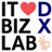 IT BIZ LAB LOGO